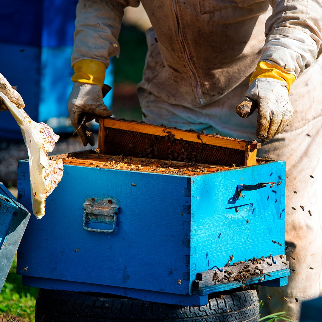 Equipamentos e Ferramentas para Apicultura